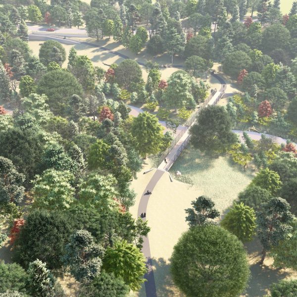 biscuit run park rendering