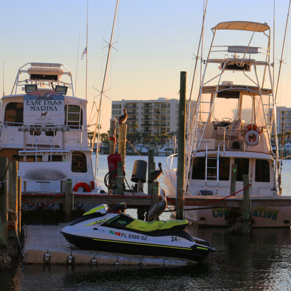 destin harbor with pelican on dock
