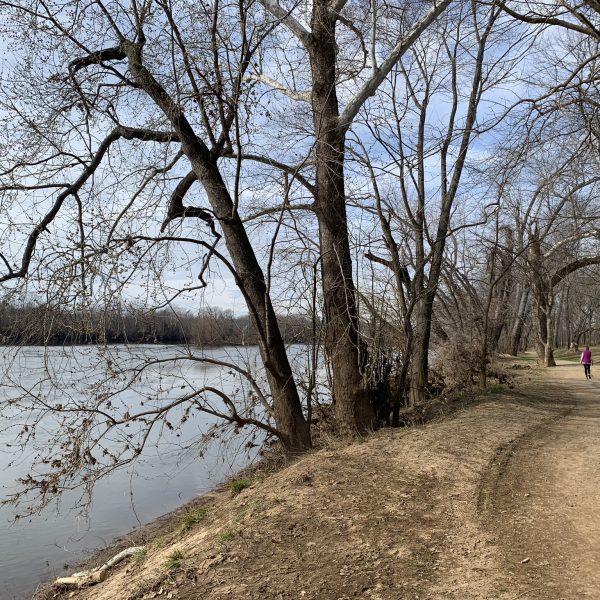 goochland trail by river with trees