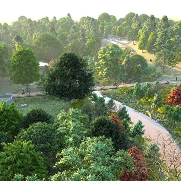 biscuit run park rendering