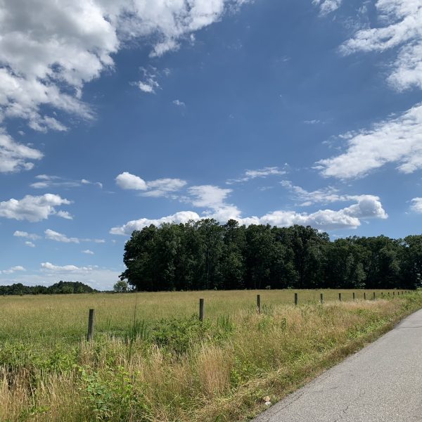 field and road with blue sky