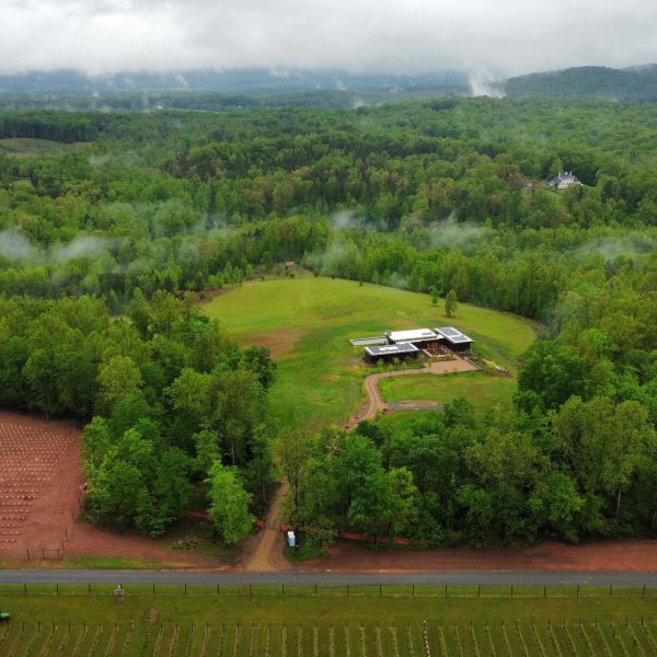 aerial view of forest and modern home site